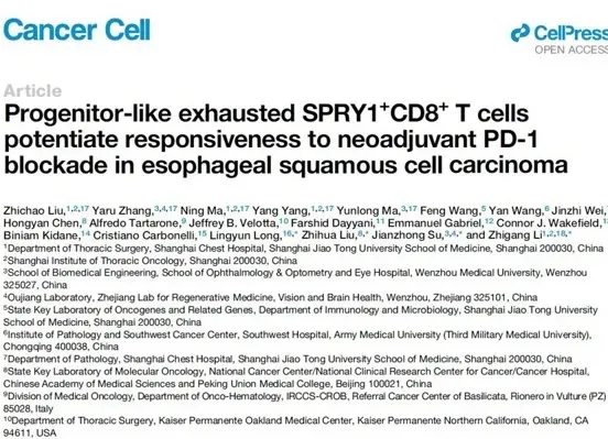 "Tumor Cell" published the important results of the Chest Hospital team: breakthrough progress in immunotherapy for esophageal cancer