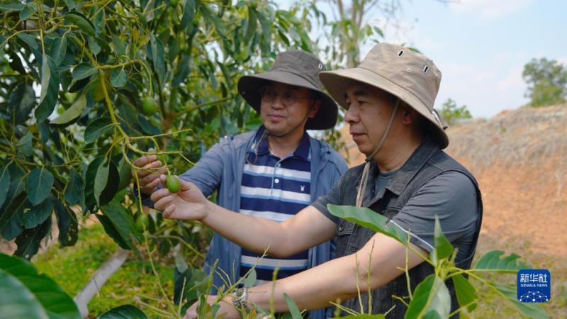 "The environment here is reassuring" - Chairman of "Rooting in Mainland China" by Taiwanese businessmen | Improvement | Mainland China