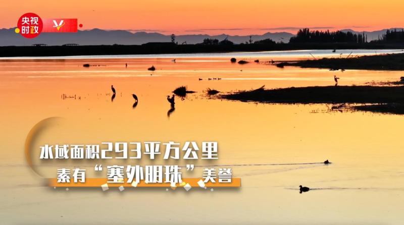 Xi Jinping's trip to Inner Mongolia, walking into the "Pearl of the Outer Seas"-Wuliangsuhai | Ecology | Inner Mongolia