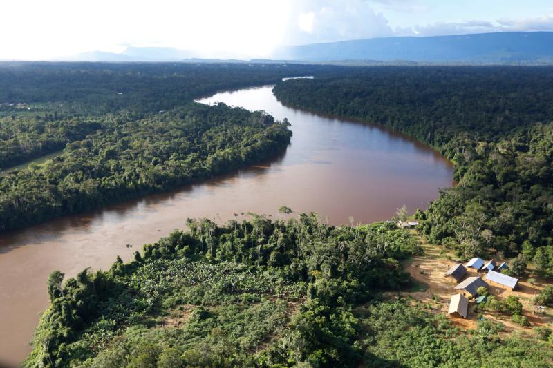 中巴地球资源卫星助力亚马孙雨林保护合作|雨林|亚马孙