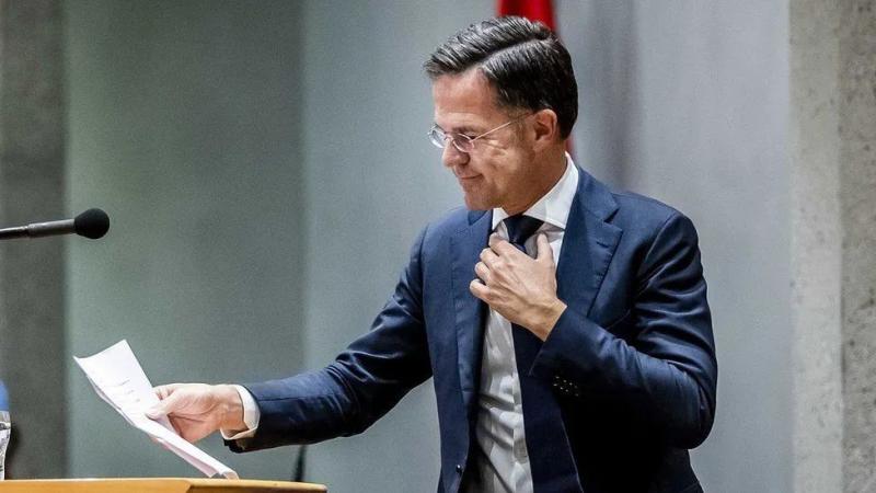 The Dutch government suddenly disbands, and the "golden bachelor" wants to immigrate | coalition government | Dutch government