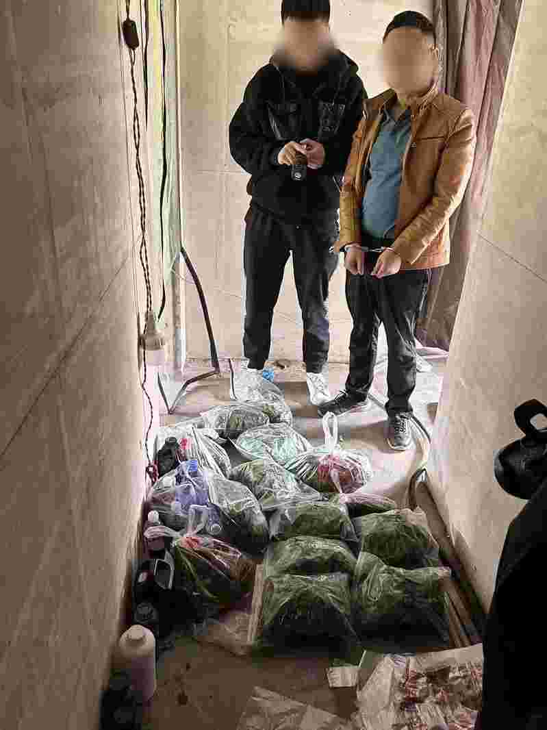 Shanghai police dismantled cross provincial cannabis trafficking gangs, contacted overseas software, buried hidden goods in other places, and conducted virtual currency payment transactions | Cannabis | Shanghai