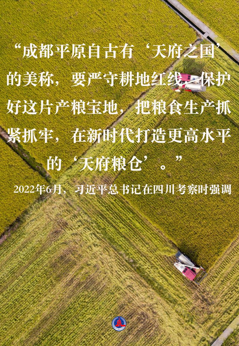 General Secretary Xi Jinping is concerned about building a solid foundation for a bumper harvest | hiding grain in the ground, hiding grain in the technical red line | cultivated land | Xi Jinping
