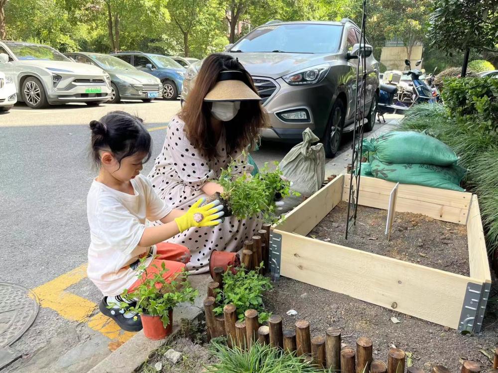 种百草、识百草、尝百草…闵行这个万人小区为何要打造43个“百草园”？暖暖百草园|社区|小区