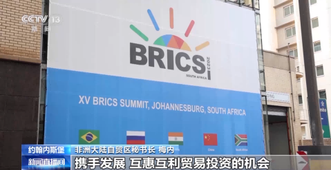 Business leaders from BRICS countries call for deepening unity and cooperation to build a better world together