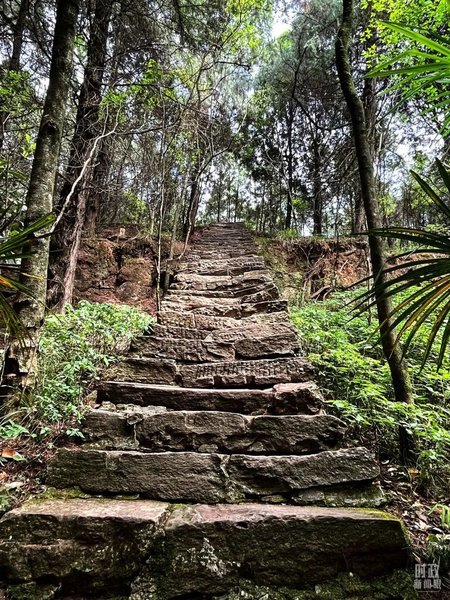 Why is the ancient Shu Road, which is difficult to ascend to the blue sky, so important? Development | Qing Dynasty | Shu Road