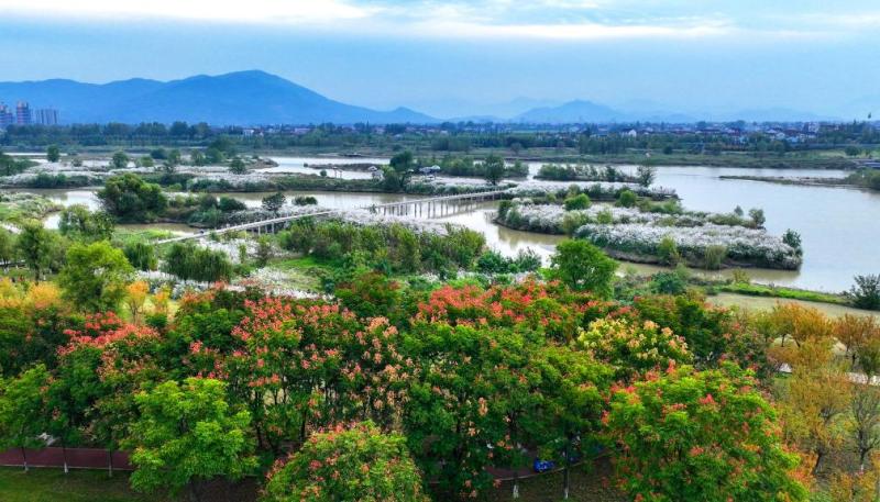 新闻多一点丨天汉湿地公园：汉中绿水青山生态画卷的“城市名片”天汉湿地