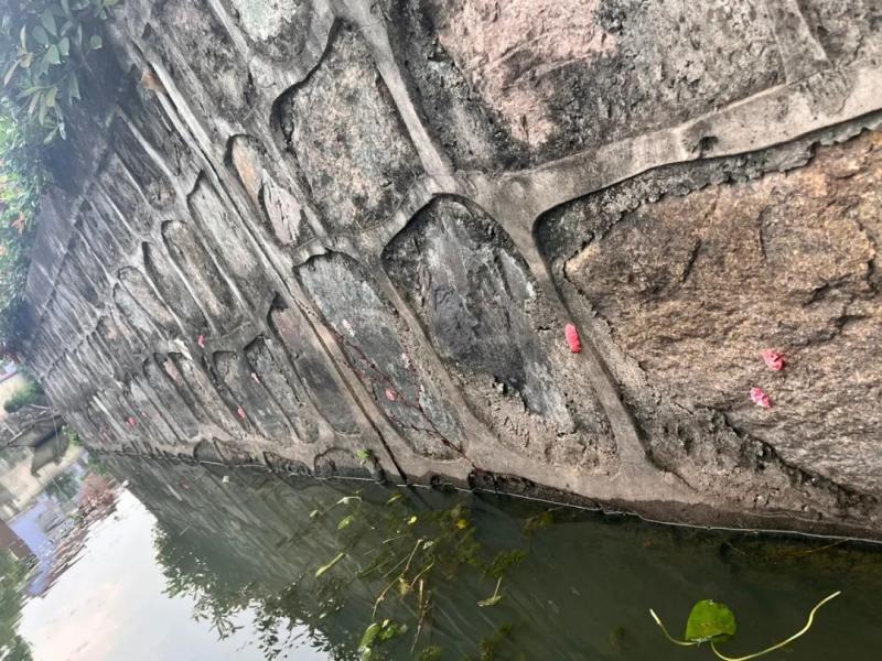 Seriously deadly!, Many places in Hangzhou have appeared! A large number of netizens captured it: up to 6000 parasites, pink | village | netizens
