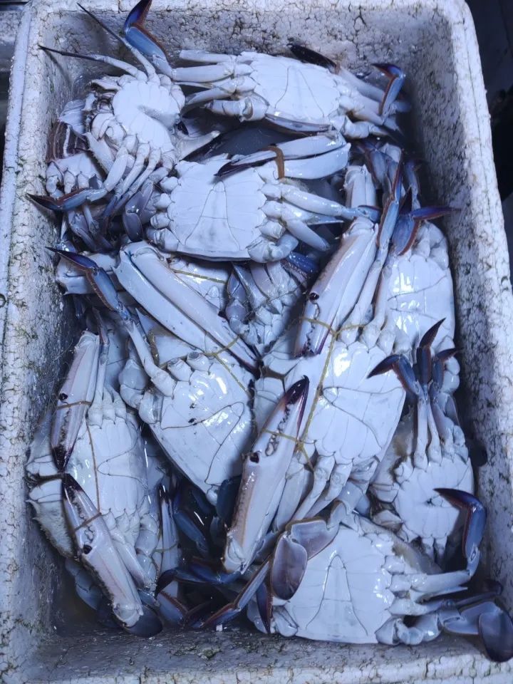 Some people force themselves not to buy: they still have to fall, snatch up a batch, and halve the price of swimming crabs! Here in Zhejiang, a batch of stalls | aquatic products | a batch