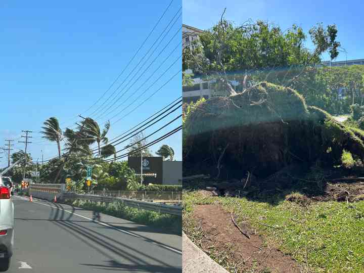 Tens of thousands of people evacuated from the island, Chinese tourists witness the Hawaiian wildfire firsthand: 80% of famous attractions are engulfed by hotels | tourists | attractions