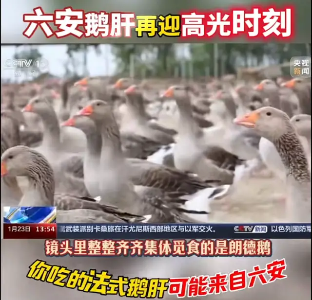 Achieve the freedom of French foie gras, talk about the "hidden specialties of the Yangtze River Delta"｜This place in Anhui