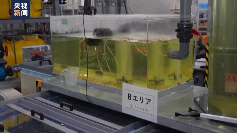 What is the so-called "compliance" in terms of virtual and real geometry? Doubts about the safety and effectiveness of Japan's nuclear contaminated water treatment facilities | Japanese government | Water treatment