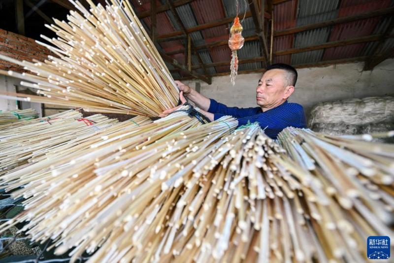 Craft Broom "Guardian Artist": Skilled Dragon Boat Festival Blessing Craft | Rong Fengming | Artist