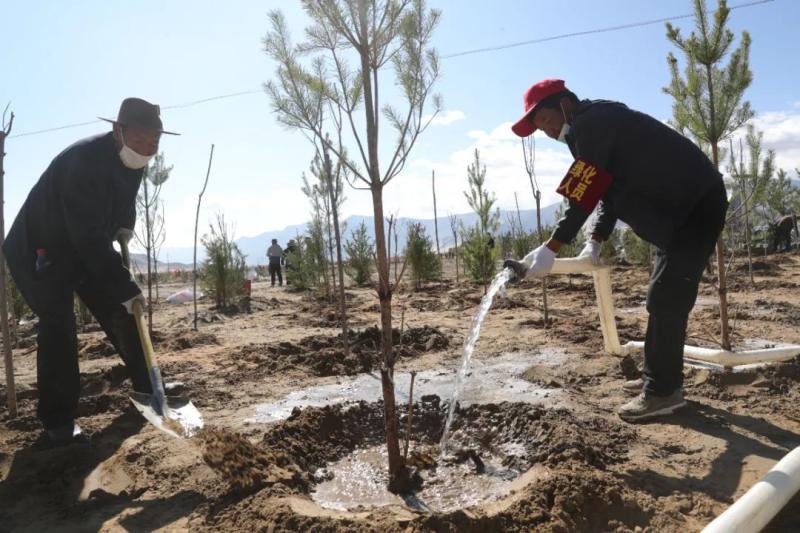 The tree watchers and tree planters in Suozhu Township are full of vitality | Gesang Flower | Tree Planters