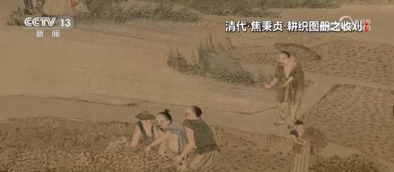 节气藏大美探寻中华文物中的“芒种”谚语|青梅|节气