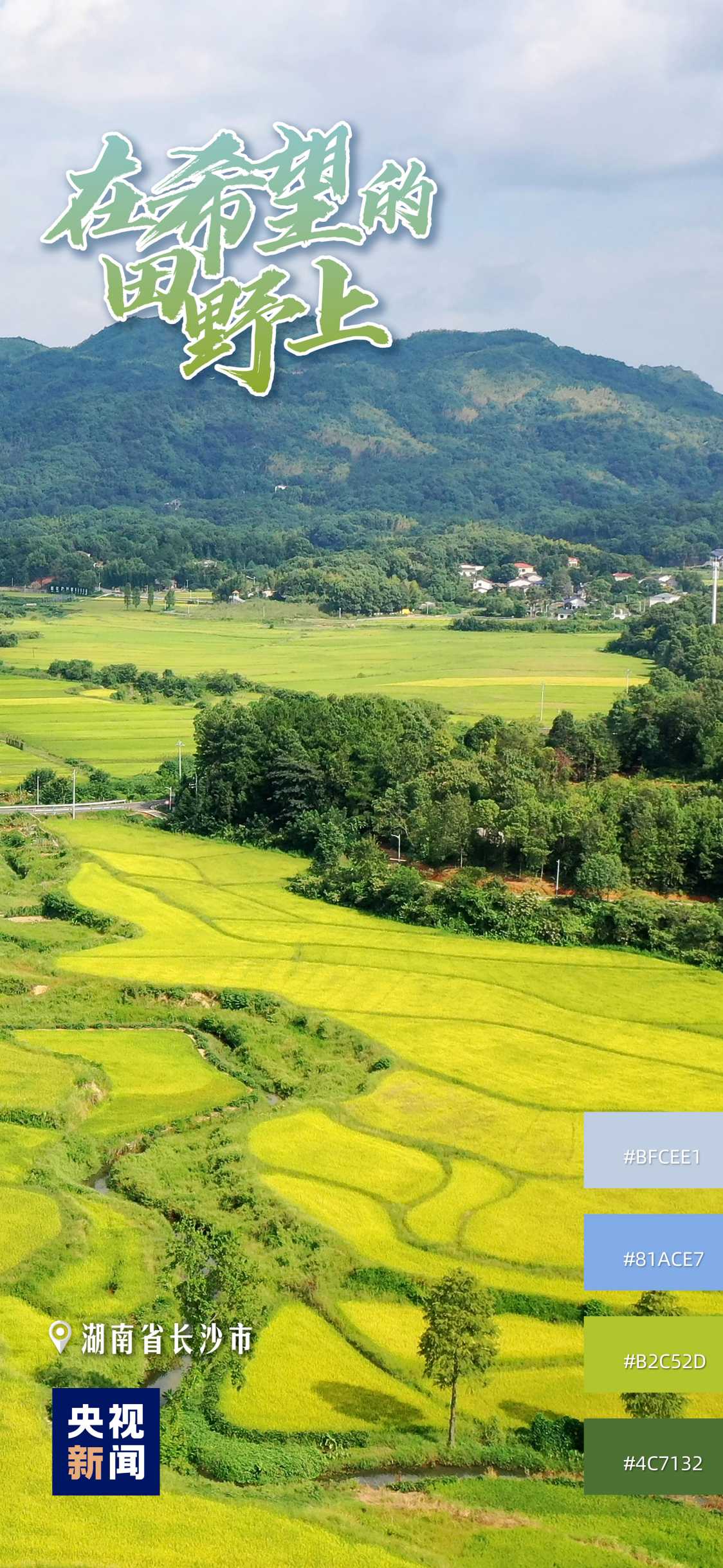 The main production area, the big granary, and the rice flower "Xiang" village talk about a bountiful year