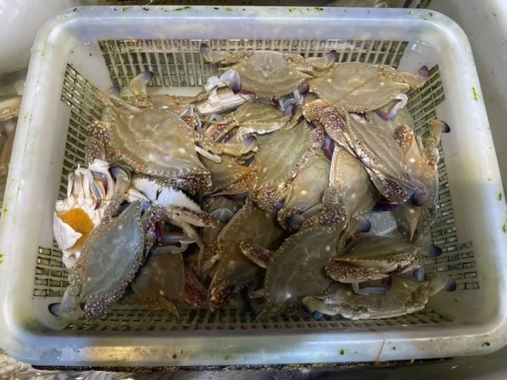 Some people force themselves not to buy: they still have to fall, snatch up a batch, and halve the price of swimming crabs! Here in Zhejiang, a batch of stalls | aquatic products | a batch