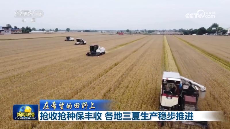 [On the Field of Hope] Rush to Harvest and Plant to Ensure Abundant Harvest. Three Summer Production in Various Regions is Steadily Advancing Rush to Plant | Rush to Harvest | Field