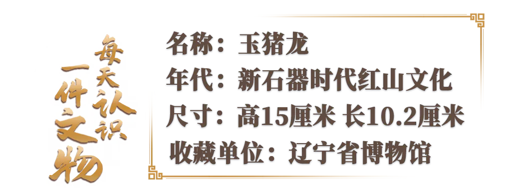 是猪还是龙？这个小玉兽证实了中华文明不止5000年