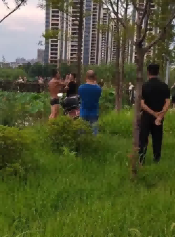 Police report: On the 15th of the arrest, a man swimming in the lake was stopped and law enforcement officers were locked onto a tree. Hong Yan | Park | Law enforcement officers