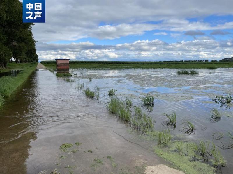 Tieling Diaobingshan City, Liaoning Province responds to coal mining causing large-scale subsidence of farmland: some areas are no longer able to reclaim mines | Farmland | Tieling Diaobingshan City, Liaoning Province