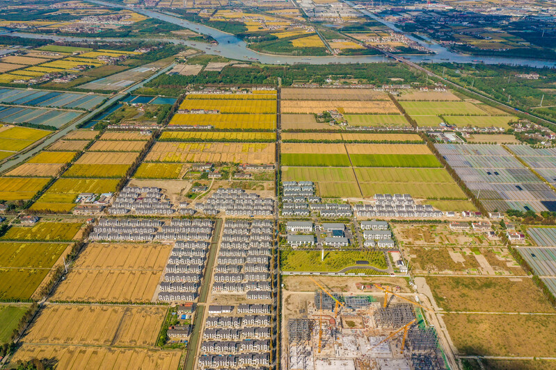 Looking at the 13 Year Rural Land Transformation Project in Shanghai from a Building Pig Farm | Land | Shanghai