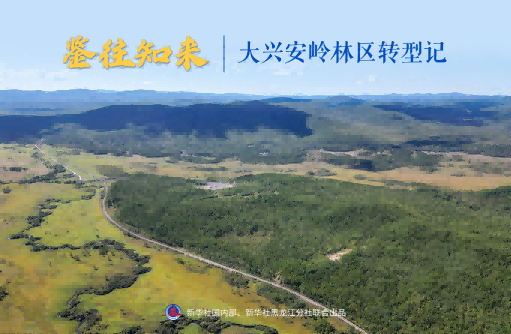 Looking Back at the Past and Knowing the Future | The Transformation of the Great Xing'an Mountains Forest Region | Forest Region | The Great Xing'an Mountains