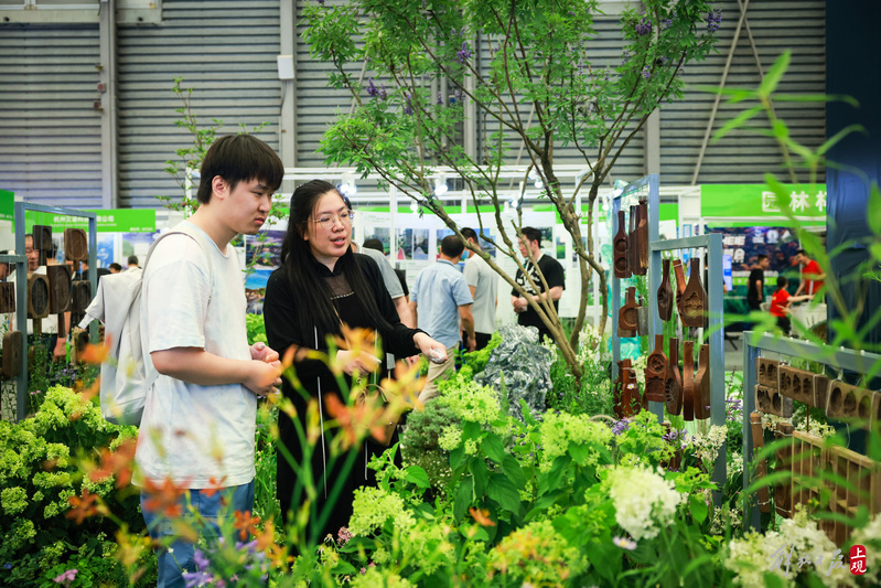 Pure electric intelligent cleaning vehicles, irrigation robots, customizable landscape courtyards... "New Things" in the Landscape Industry Appear at this Exhibition Technology | Landscape Greening | Landscape