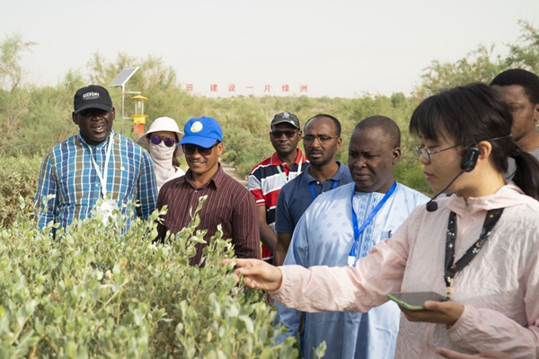 Taklamakan "Dialogue" Sahara - China Africa Joins Hands to Combat Desertification Observation Expert | Africa | Taklamakan