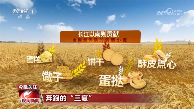 China's Harvest Map: A Summer Warehouse with Wind Blowing Wheat Waves. This week | Wheat | Map