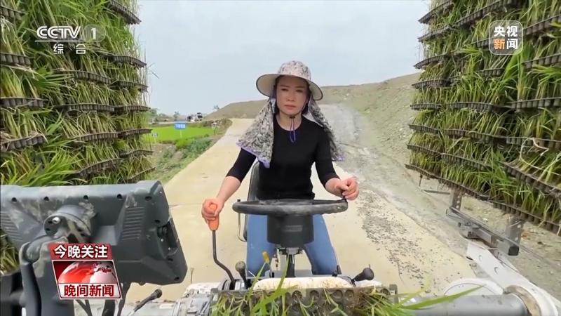 Driving the equipment up the mountain mud as hand cream: A Story of a 80s Female Agricultural Mechanist's Grain Planting Machine | Manager | Agricultural Mechanist