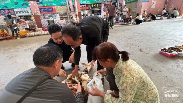 中毒预警！“野生菌魔幻季”又来了网友|人民群众|预警