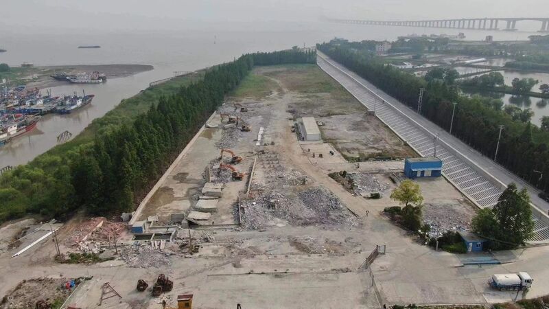 崇明法院督促腾退助长江口滩涂“复绿”,40亩土地被占用长江|团队|崇明法院