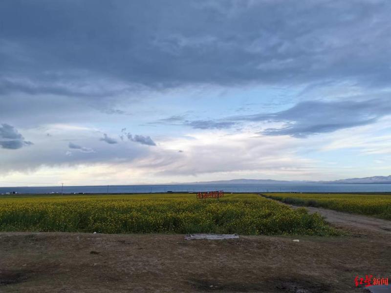 Rectifying the chaos caused by crushing grasslands, Qinghai Lake is surrounded by barbed wire for 360 kilometers around the lake? Scenic Area: Previously, there were fenced tourists | Qinghai Lake | Fence