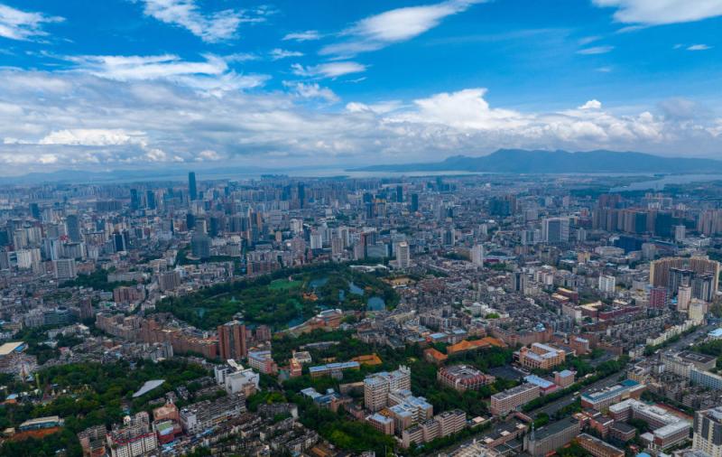 Decoding Cultural Confidence in City Samples | Continuous Context in Four Seasons of Spring - Decoding Cultural Confidence in Spring City Kunming - Red billed Gull | Kunming | Decoding