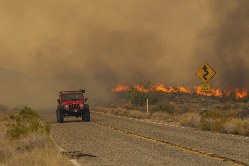 “物种多样性”可能被摧毁,【看世界】高温大风加剧美国加州野火蔓延火龙|印度哈里亚纳邦|野火