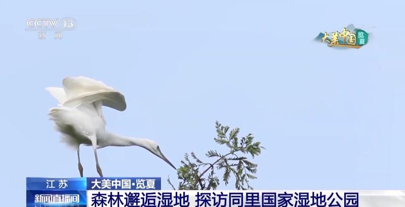 听！看！一起感受祖国自然和谐的生态画卷→湿地|公园|画卷