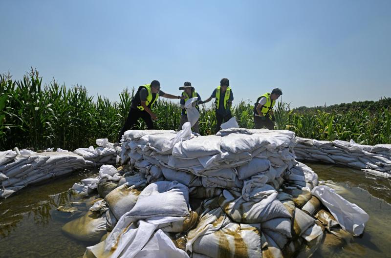 Flood discharge into the sea to protect the safety of the land - Tianjin Flood Control and Anti Flood Frontline Documentary Source | Frontline