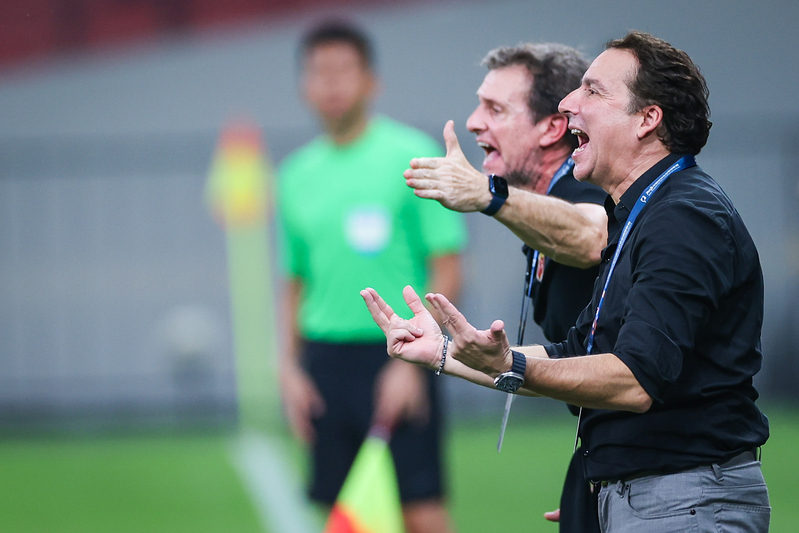 Warning the harbor coaching staff to simplify complexity!, Quick review: Havel begging for a golden rice bowl? The use of foreign players violates common sense in Meizhou | the team | common sense