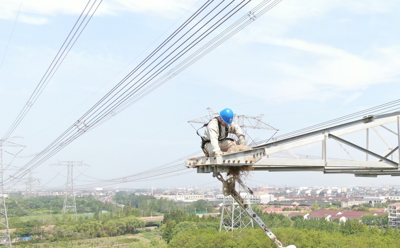 Construction of "Green Account Book" for One Hour Power | Shanghai Electric Power | Account Book