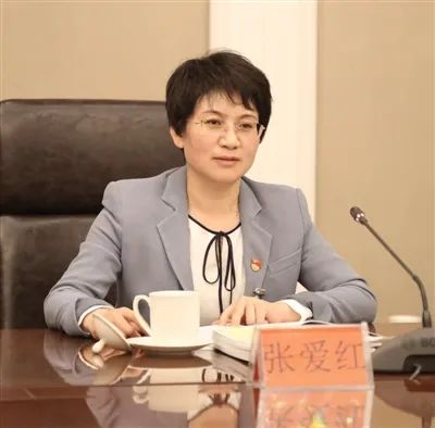Intended for further use, Deputy Mayor Zhang Aihong, Secretary of the Chengxi District Committee of Xining City. 2019 | Deputy Secretary of Chengbei District Committee of Xining City | Zhang Aihong