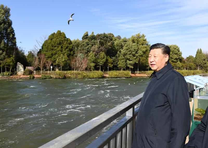 Looking at the Yangtze River | Yunnan: General Secretary of the Transformation of Plateau Lakes | Dianchi Lake | Yangtze River
