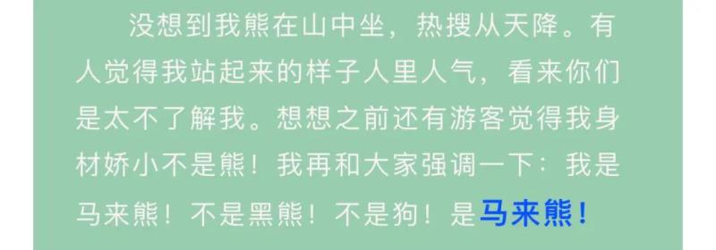 Malay bear!, Is the standing and waving "black bear" disguised as a human? Hangzhou Zoo response: This is a "popular" real bear tourist | black bear | Malay bear