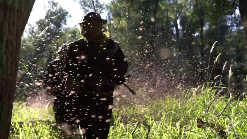 Kill hundreds of mosquitoes with just one slap! Crossing the Kingdom of Mosquitoes and Advancing towards the Boundary Monument | Mosquitoes | Mosquitoes