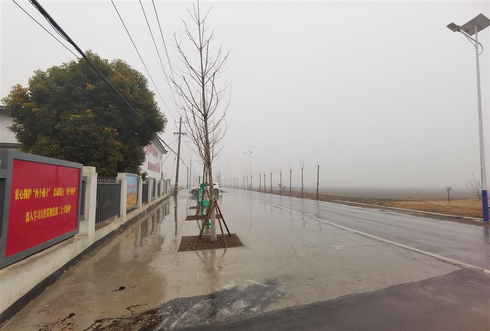 It's still a big field. In some rural areas of Anhui, each village only has one field. Villagers | land | big field