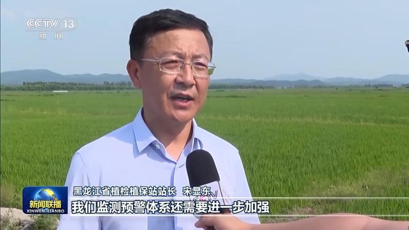 Learn to do! Heilongjiang strengthens food security, ballast stone grain | production capacity | Heilongjiang
