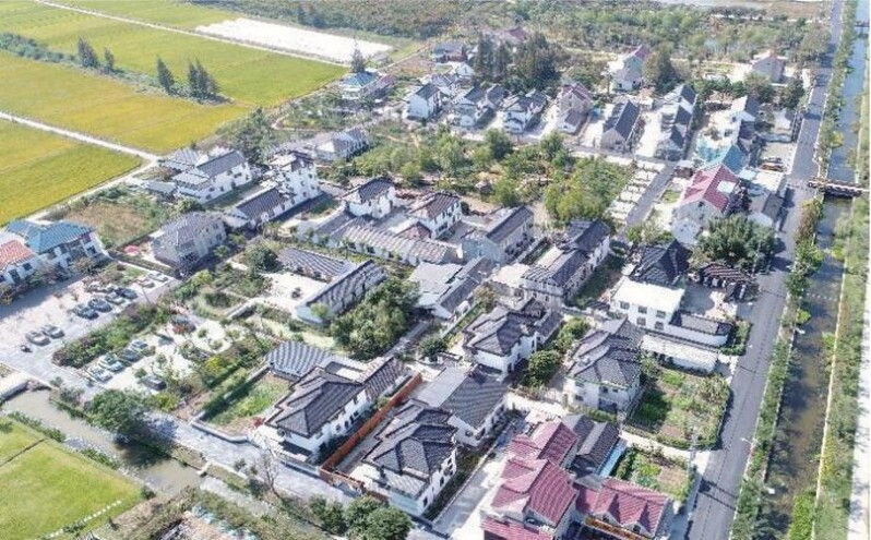Chongming and other towns have seized the "transformation point", how can "good ecology" become a "new economy"? Crab, Rice, Homestay Chongming District | Ecology | Economy