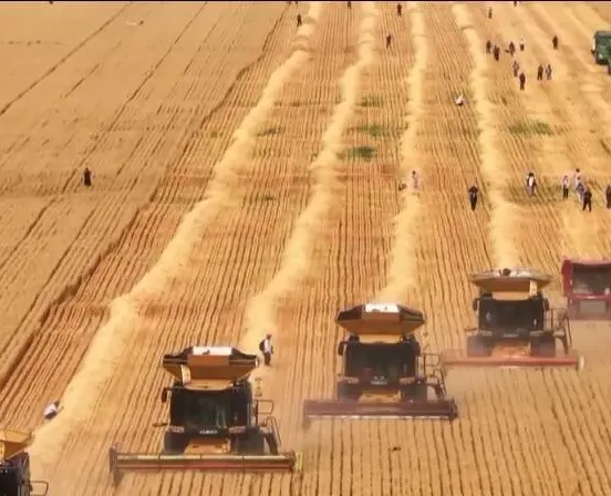 Installing "Beidou" and transforming smart grain depots...technological means make the production of "Three Summers" smarter and more efficient