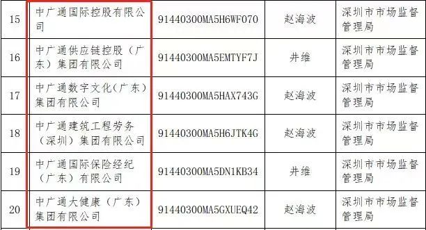 细节披露！酒泉350亿制氢项目遭遇“假国企”被终止中广通科技有限公司|项目|制氢