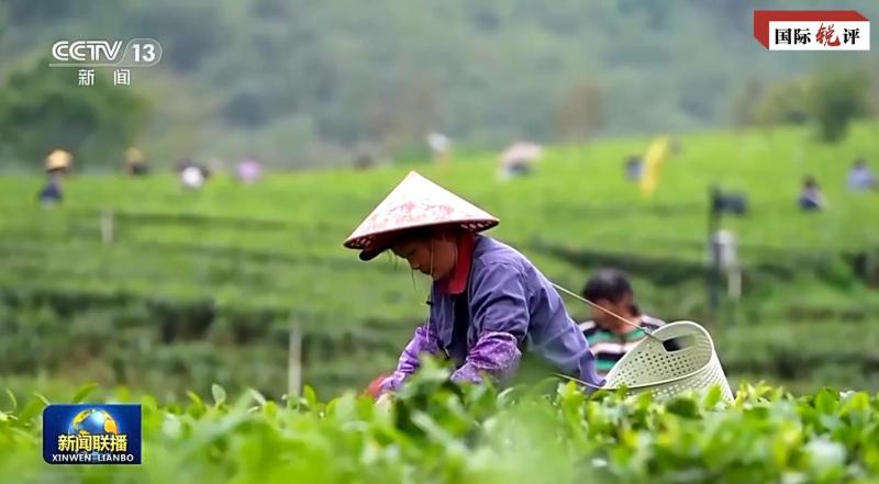 说明西方不是人权“判官”,国际锐评｜这场在北京进行的人权讨论人民|全球|人权